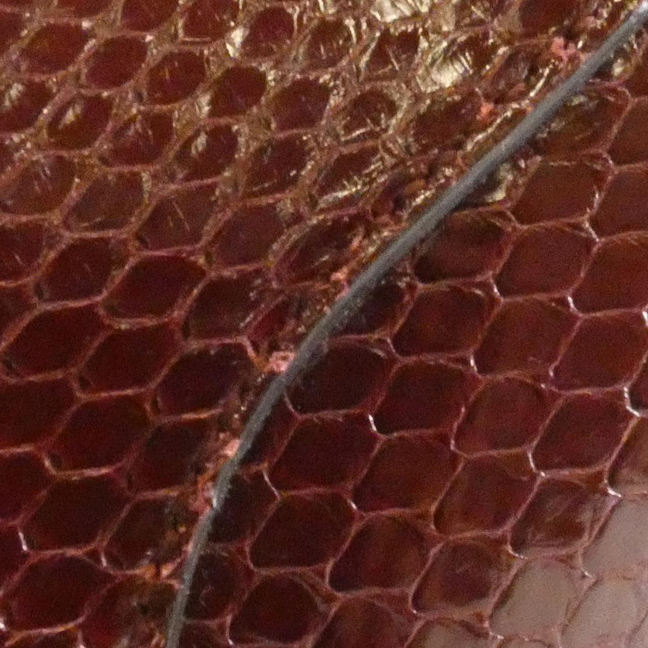 グッチ JACKIE 550152 ショルダーバッグ