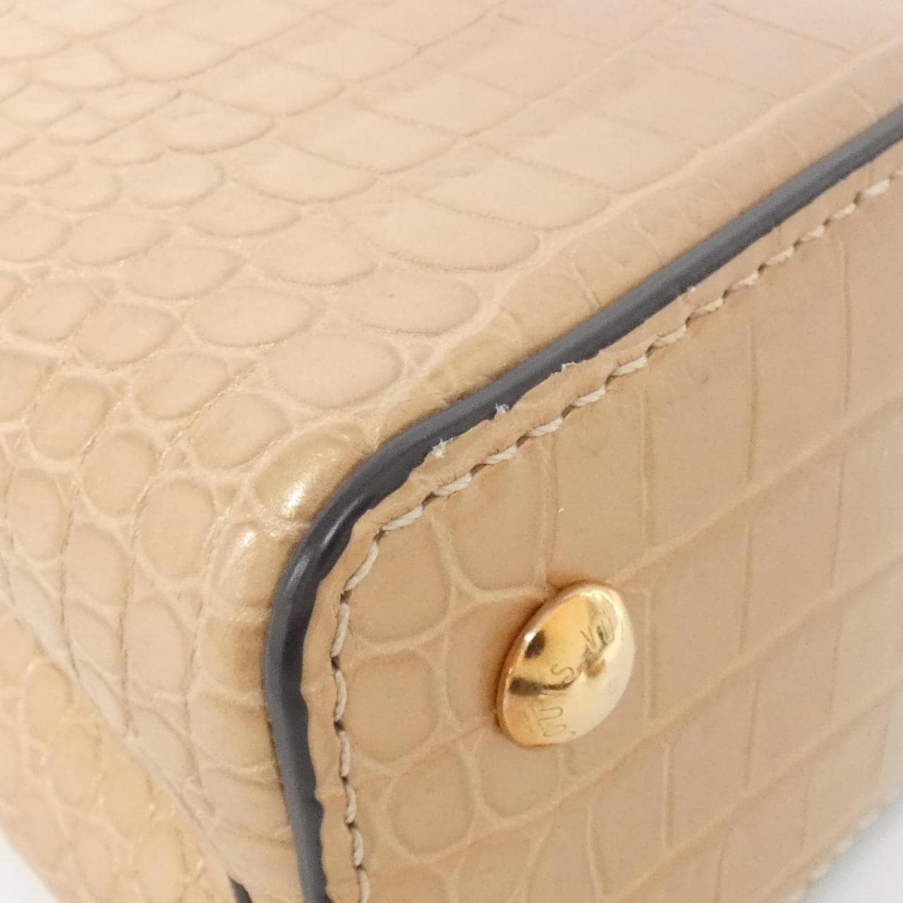 ルイヴィトン エキゾチック レザー カプシーヌ MINI バッグ