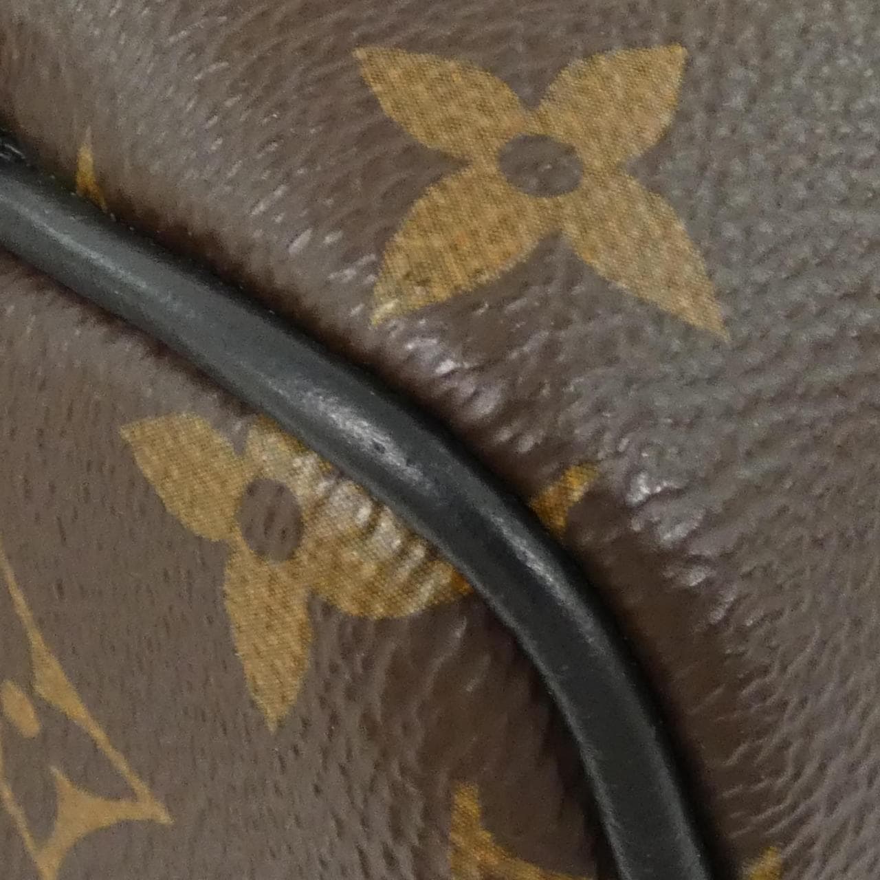 LOUIS VUITTON Monogram Macassar Josh M45349 Rucksack