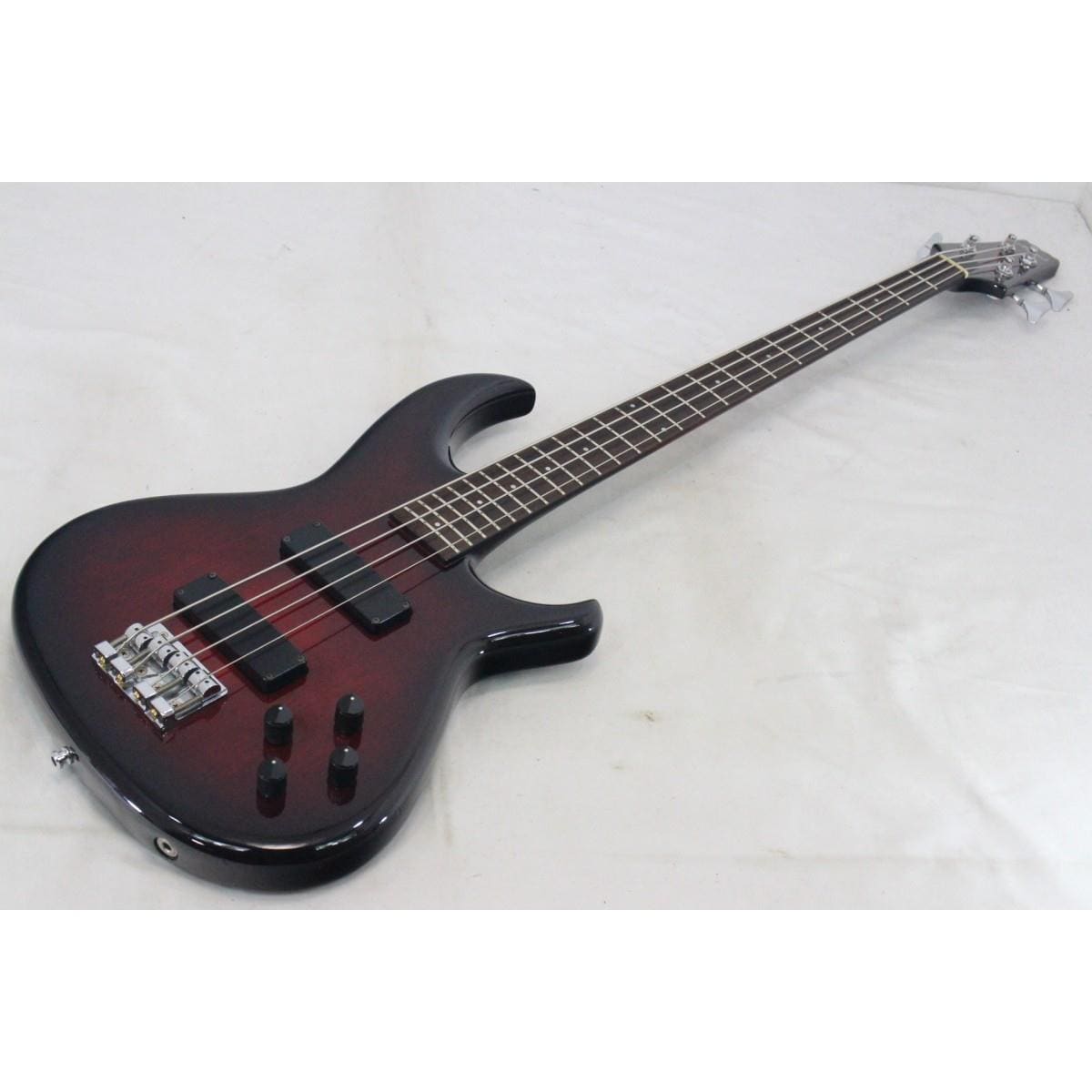 ＡＲＩＡ　ＰＲＯ　ＩＩ　　ＳＢ－１００Ｒ