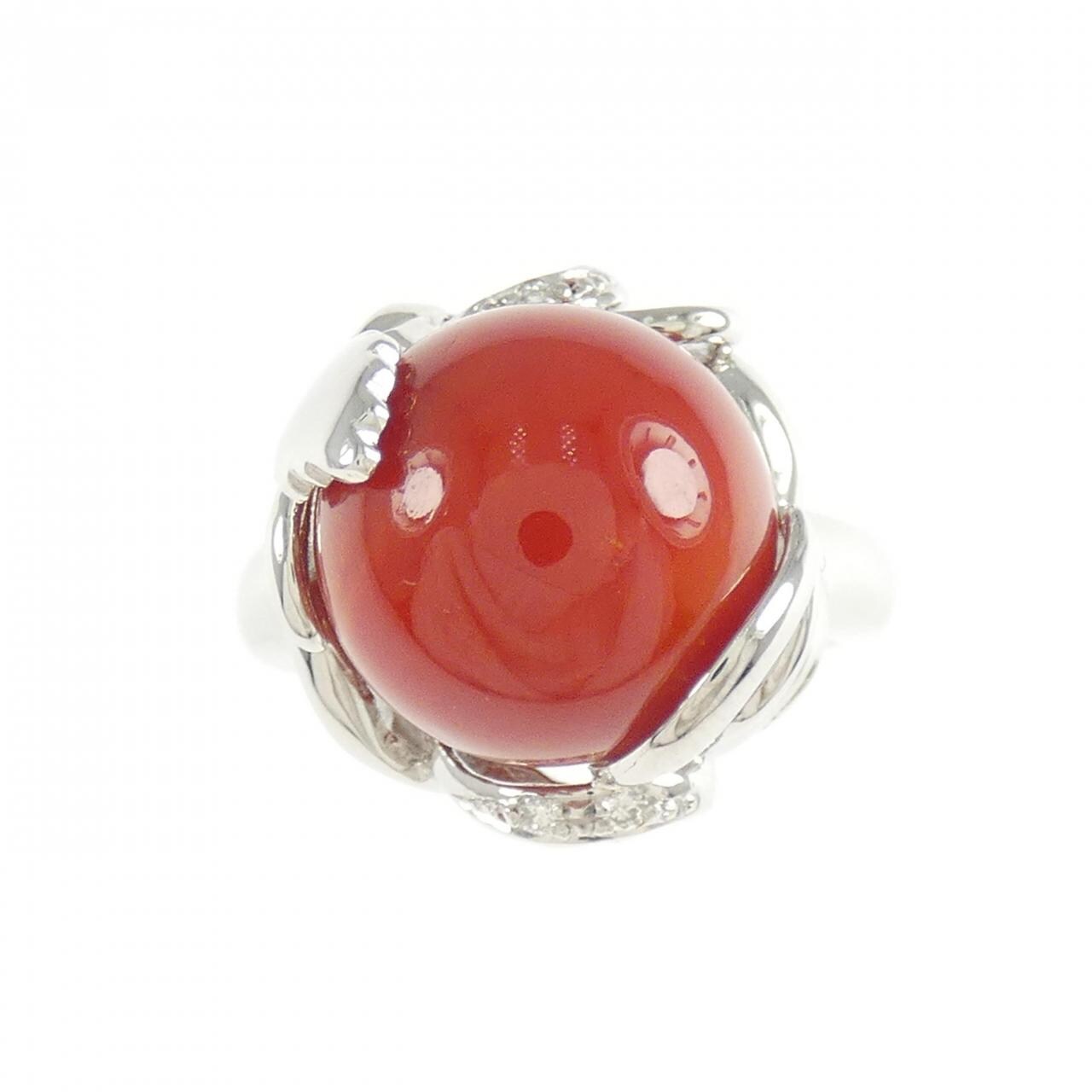 PT900 サンゴ リング 11.6mm