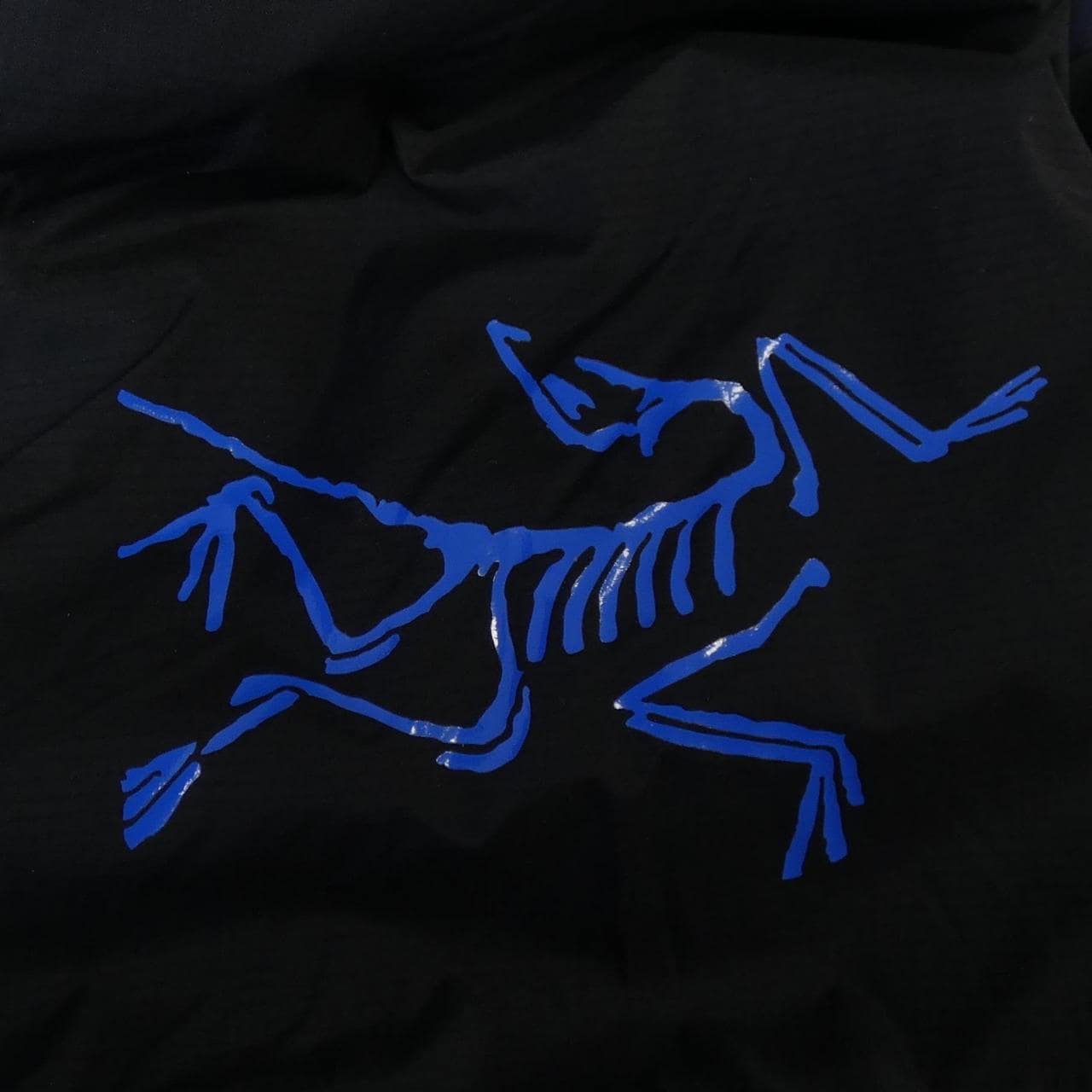 アークテリクス ARC'TERYX ブルゾン