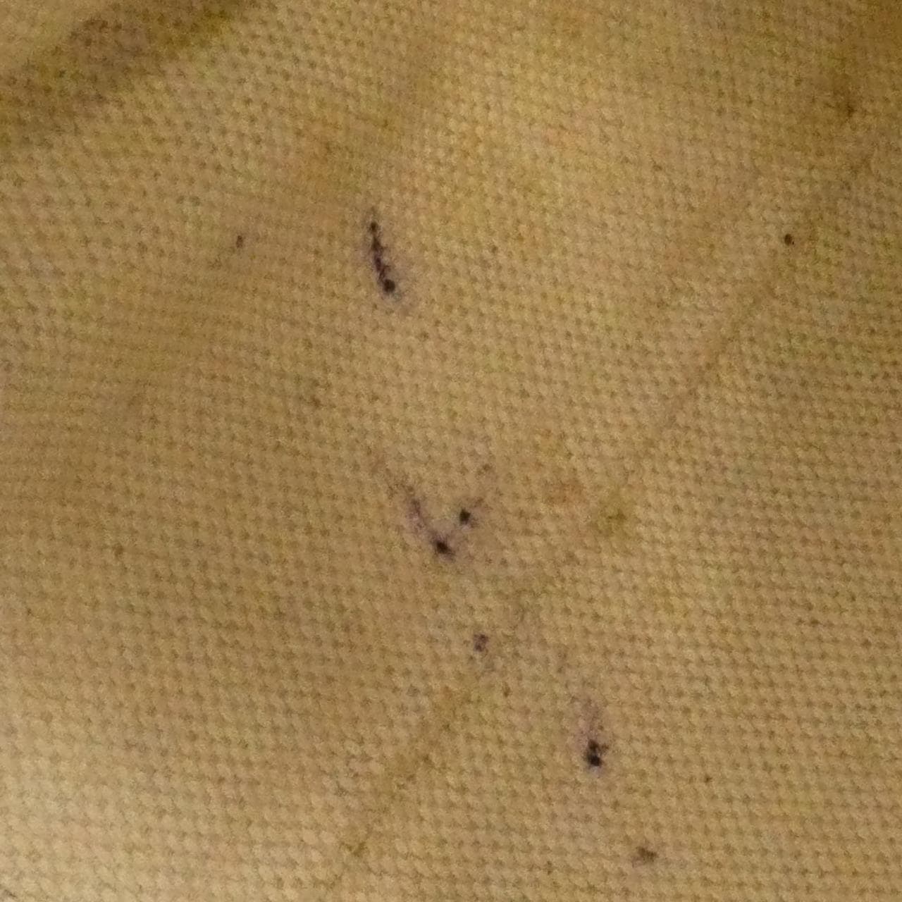 グッチ 536196 A7M0G ショルダーバッグ