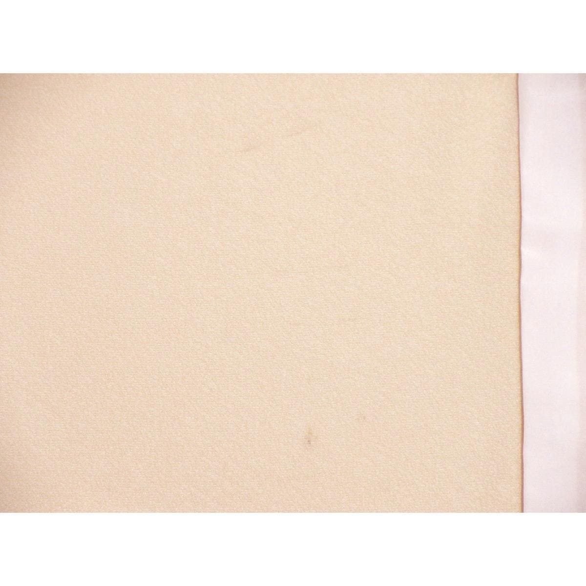 単衣　訪問着　友禅金彩加工　刺繍入り