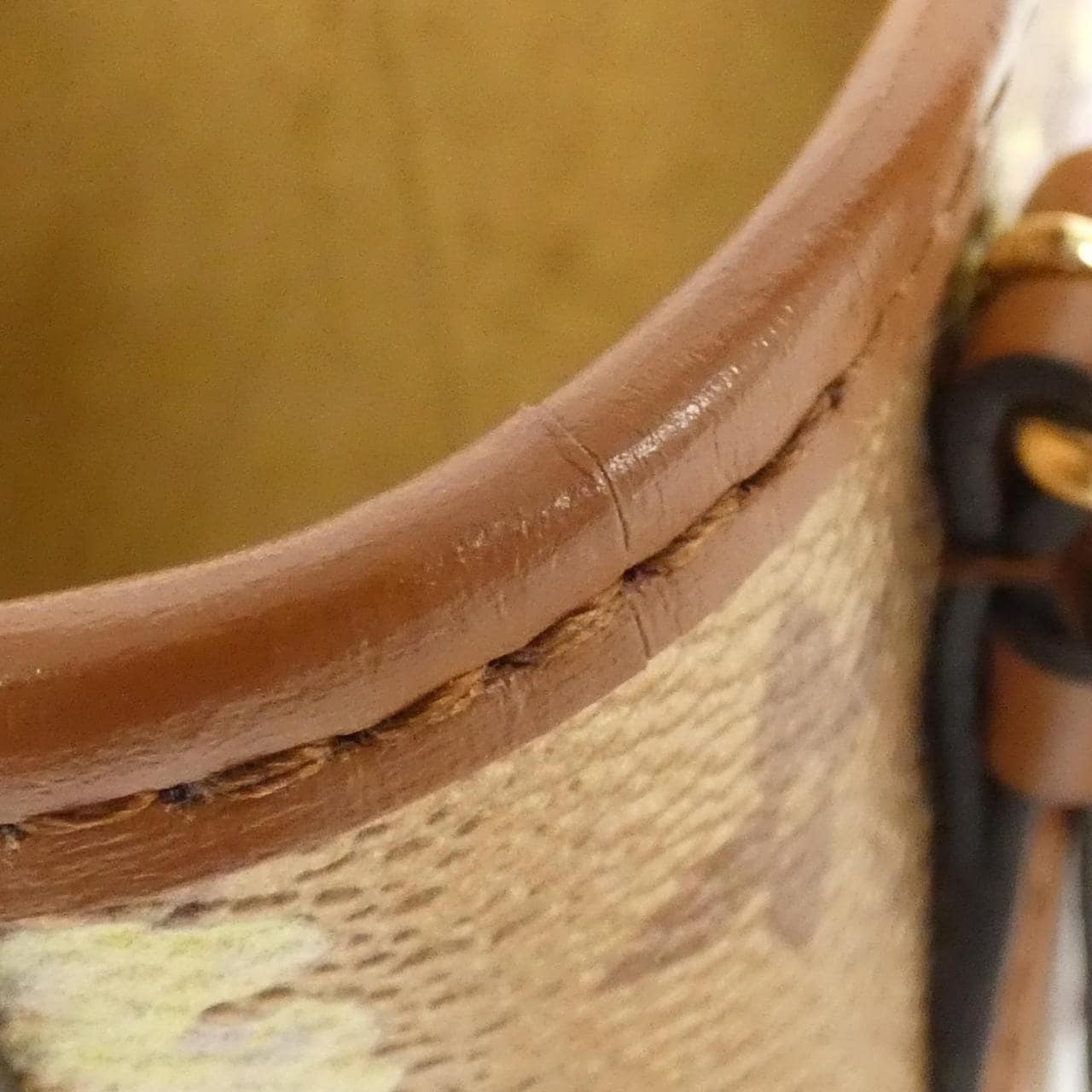 LOUIS VUITTON LV Garden (Monogram) 纳米水桶 M81724 单肩包