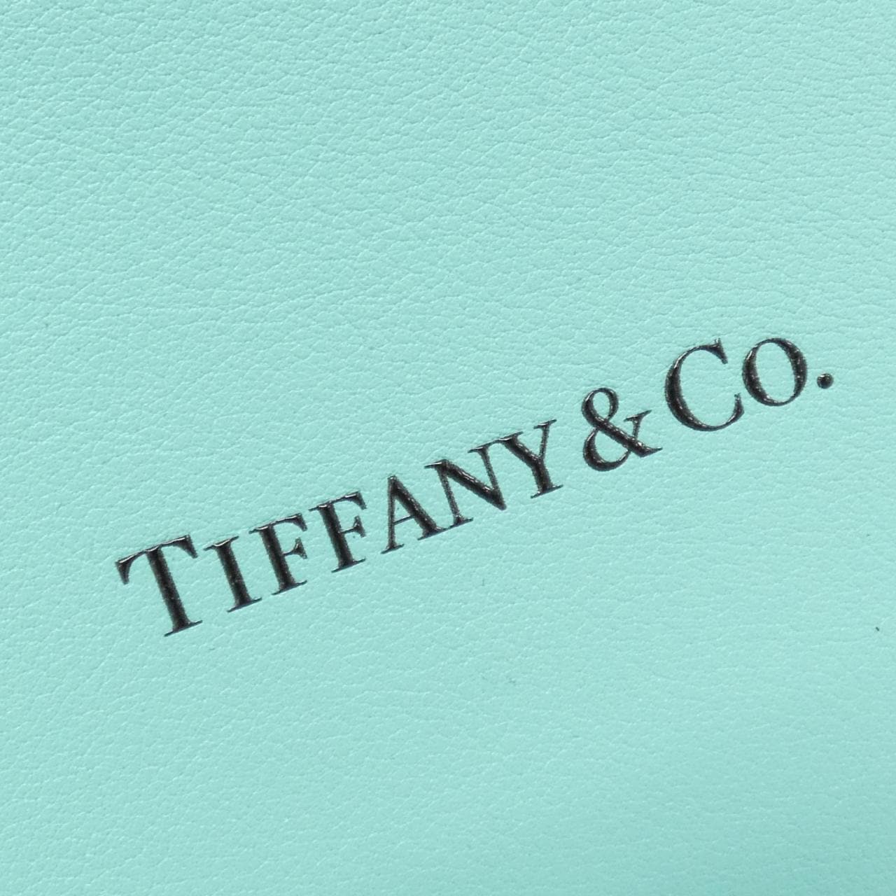 TIFFANY bag