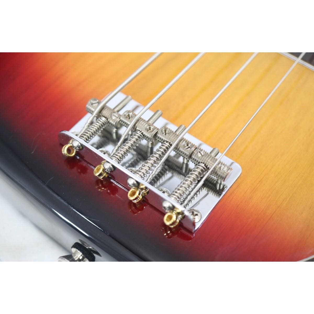 ＢＡＣＣＨＵＳ　　ＢＰＢ－１００Ｒ