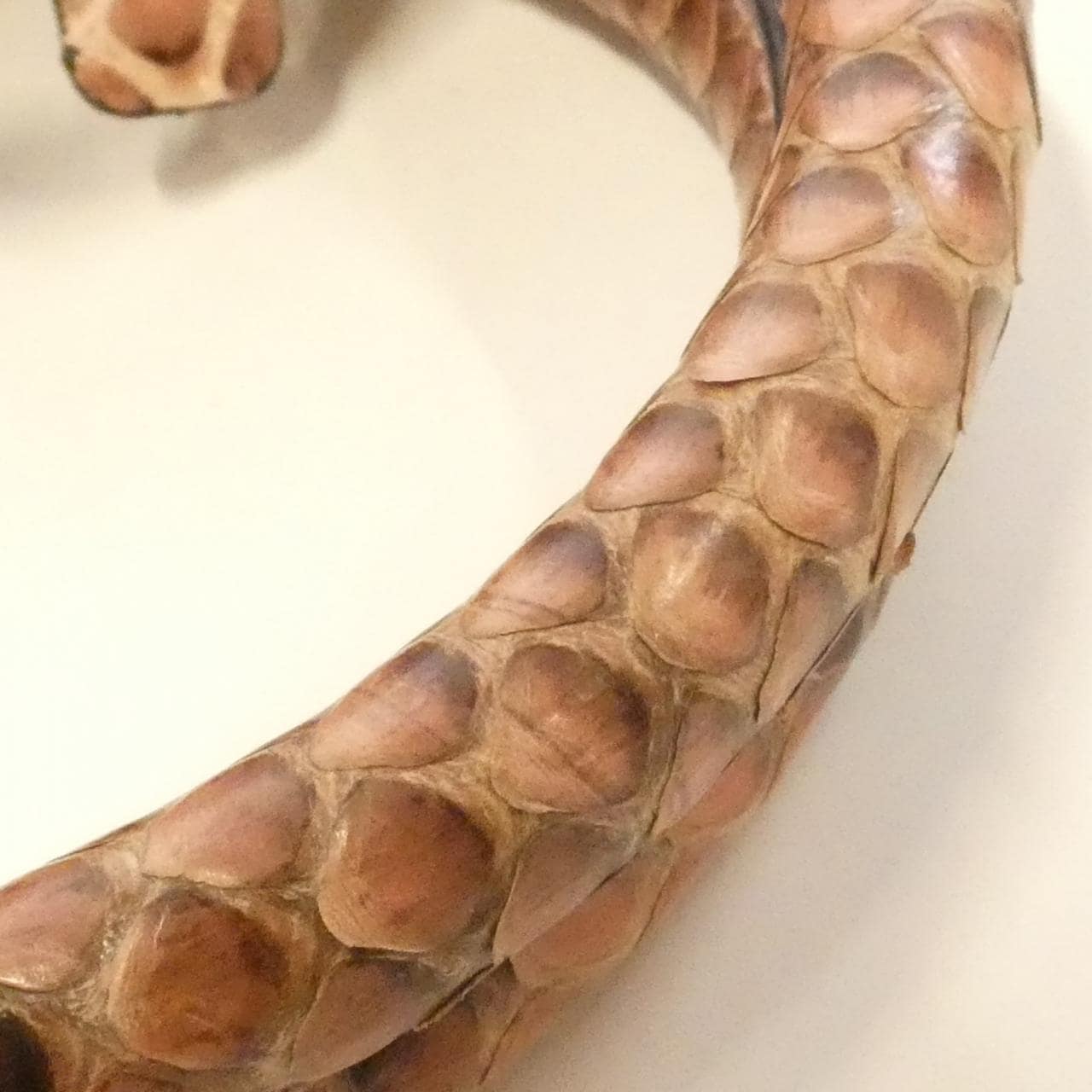 ロエベ アマソナ 28cm E30 96 N03 バッグ