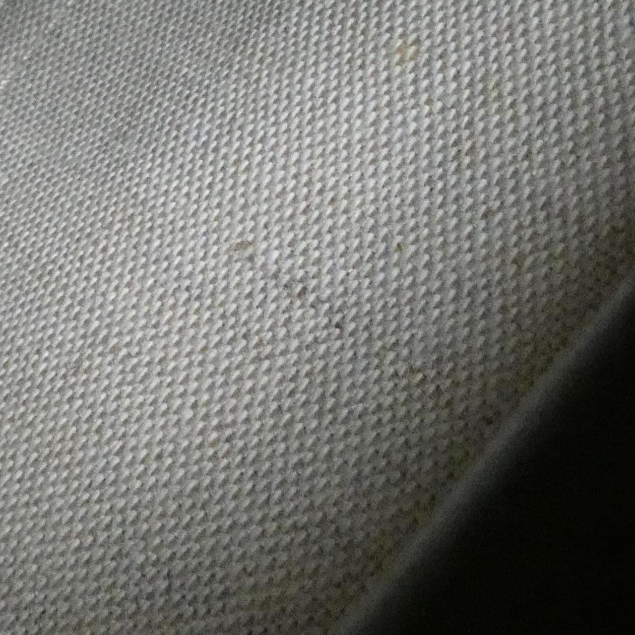 サルヴァトーレフェラガモ 21 H932 バッグ