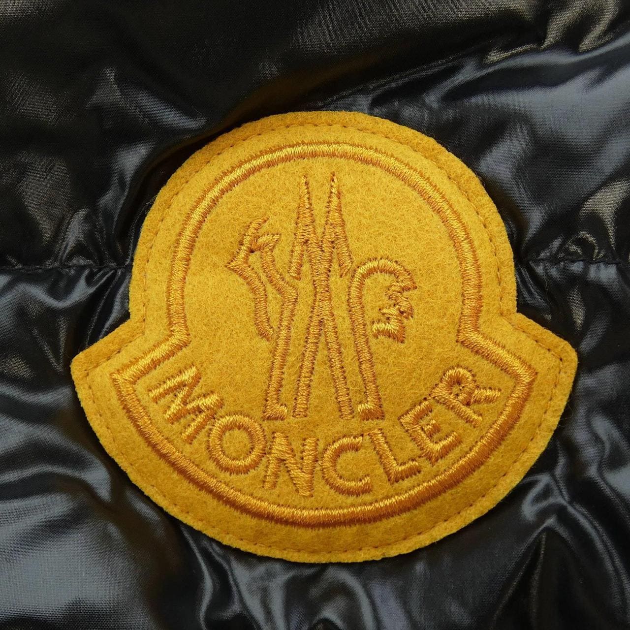 MONCLER Genius Down Jacket