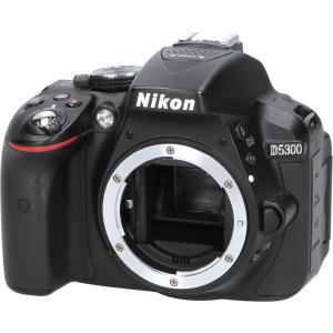 Ｄ５３００