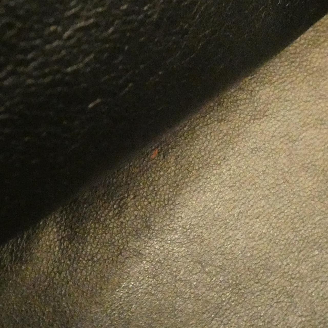 シャネル 15688 バッグ