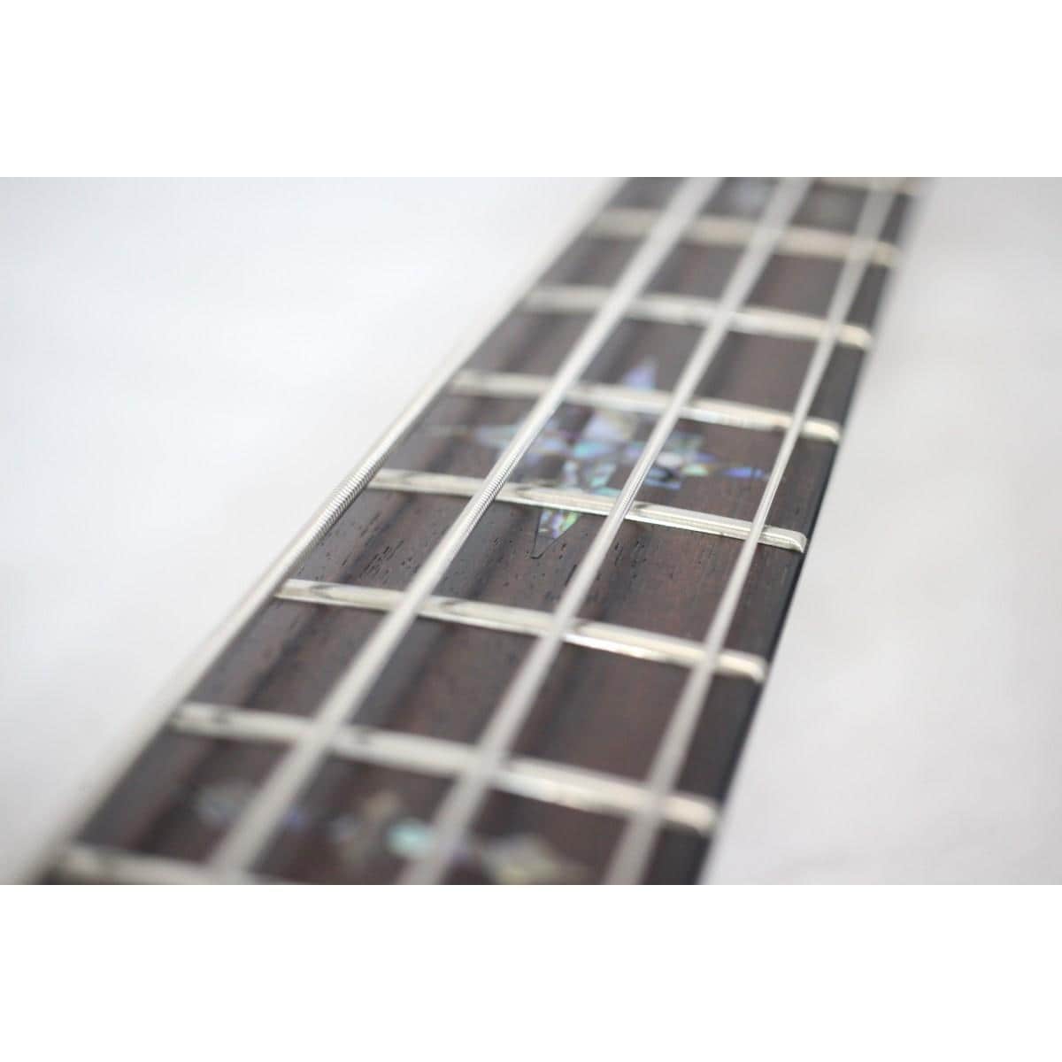 ＳＣＨＥＣＴＥＲ　　ＡＤ－ＤＭ－ＥＬ－４