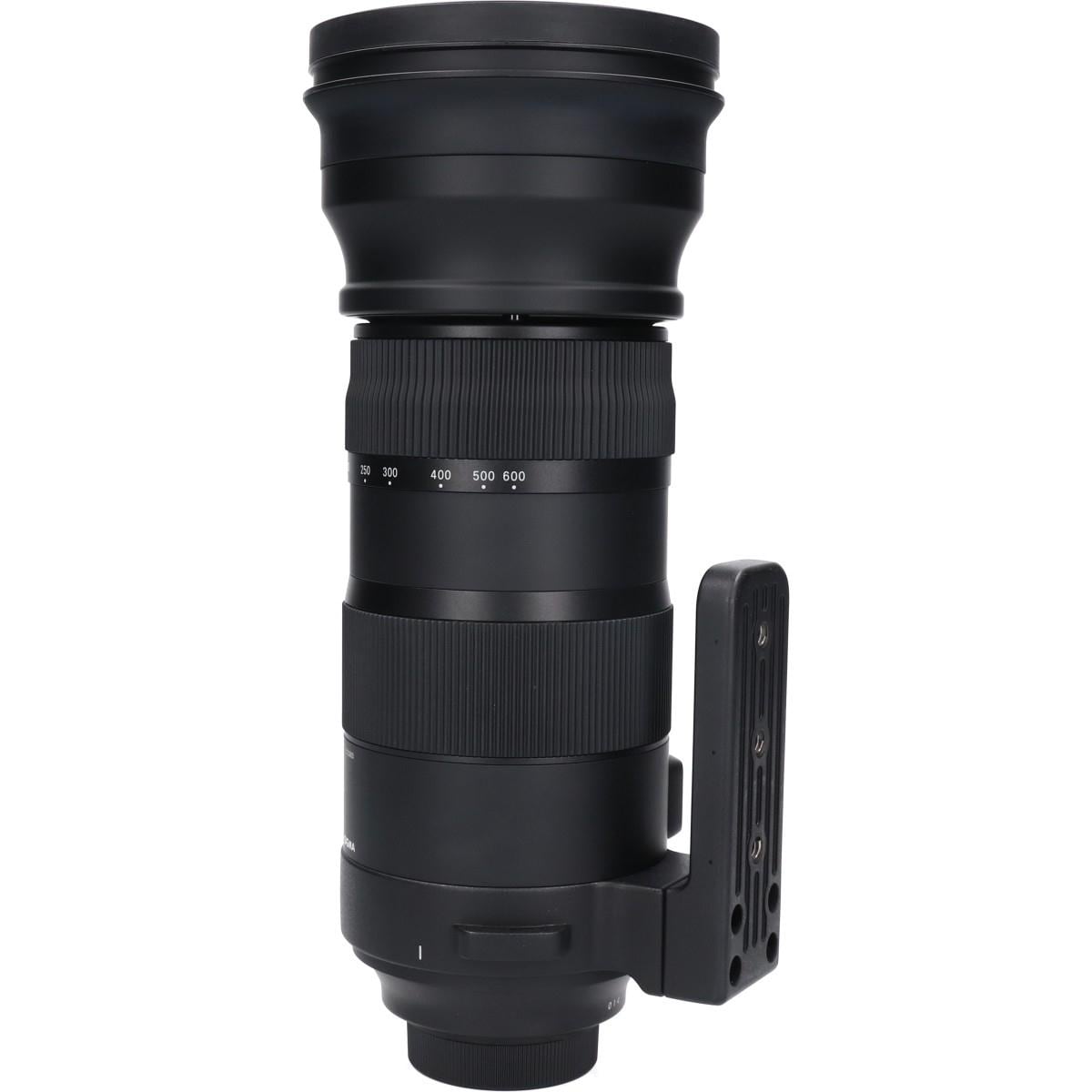 ニコン（Ｓ）１５０－６００ｍｍ　Ｆ５－６．３ＤＧ　ＯＳ