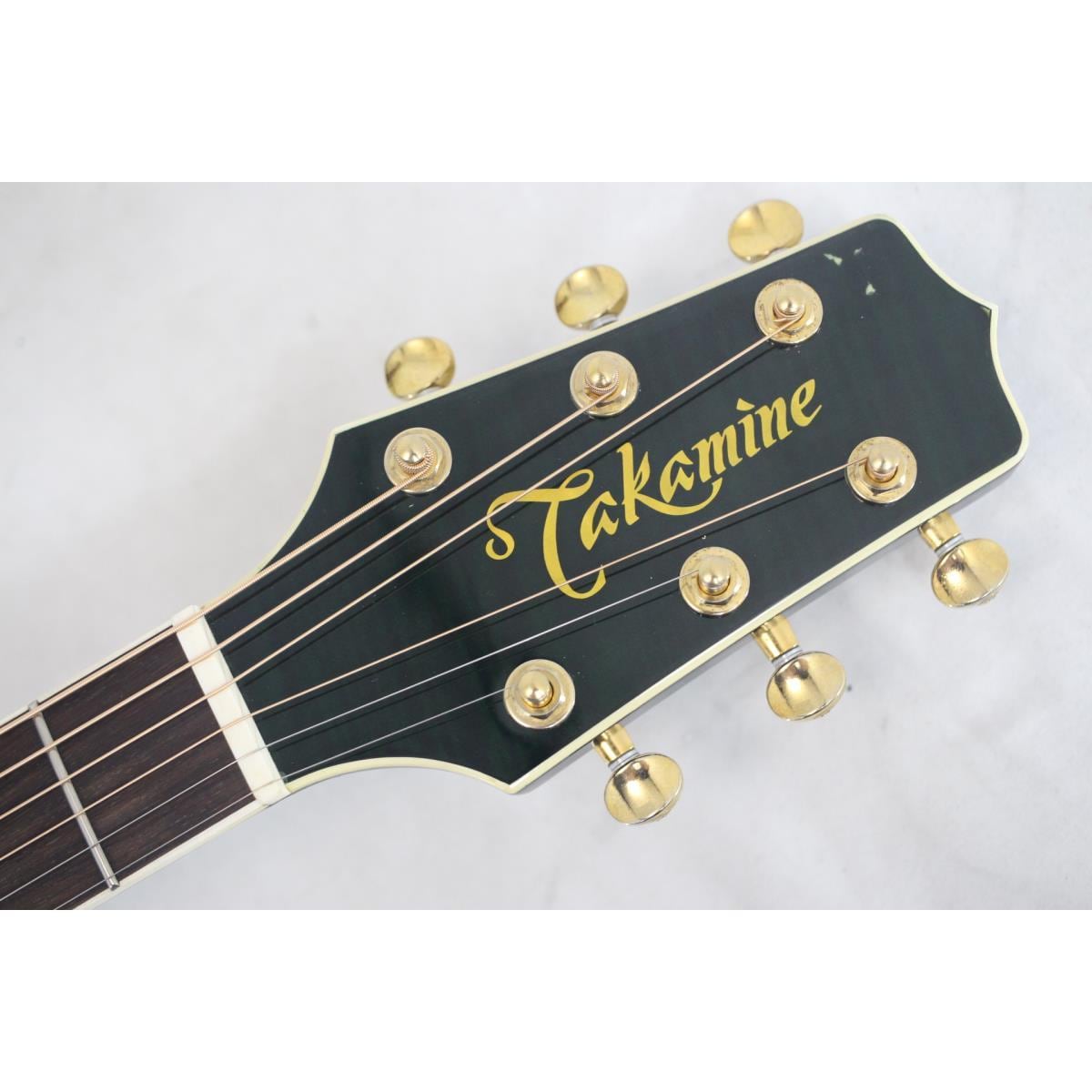 TAKAMINE NPT-110