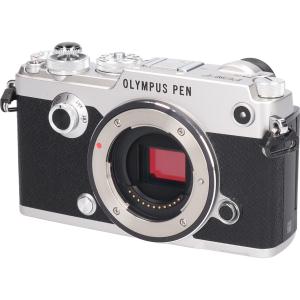 ＰＥＮ－Ｆ　シルバー