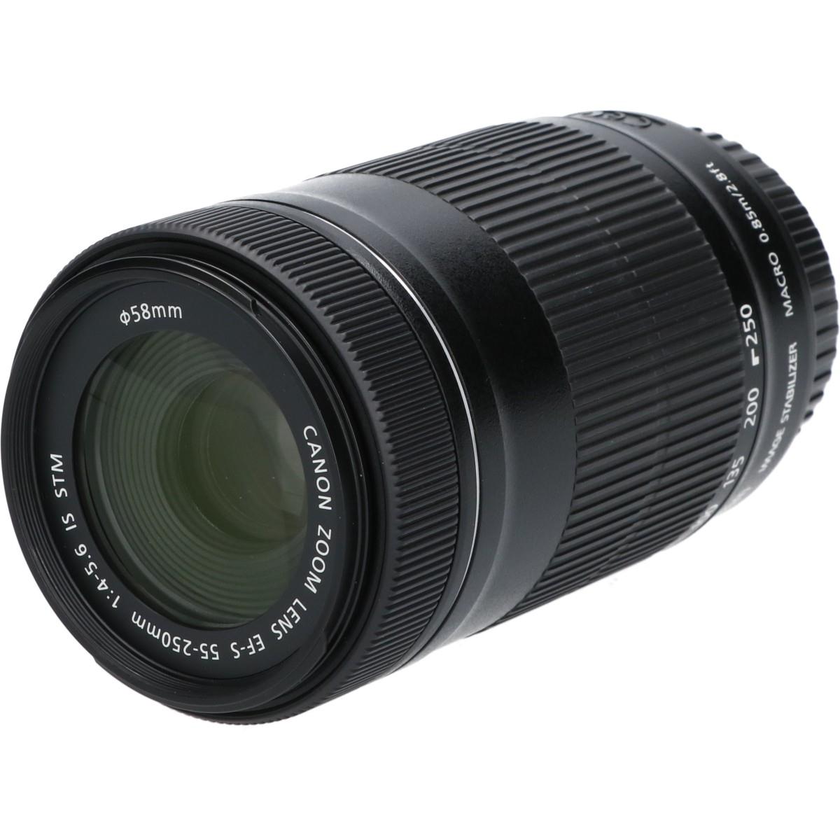 EF-S55-250mm F4-5.6IS STM