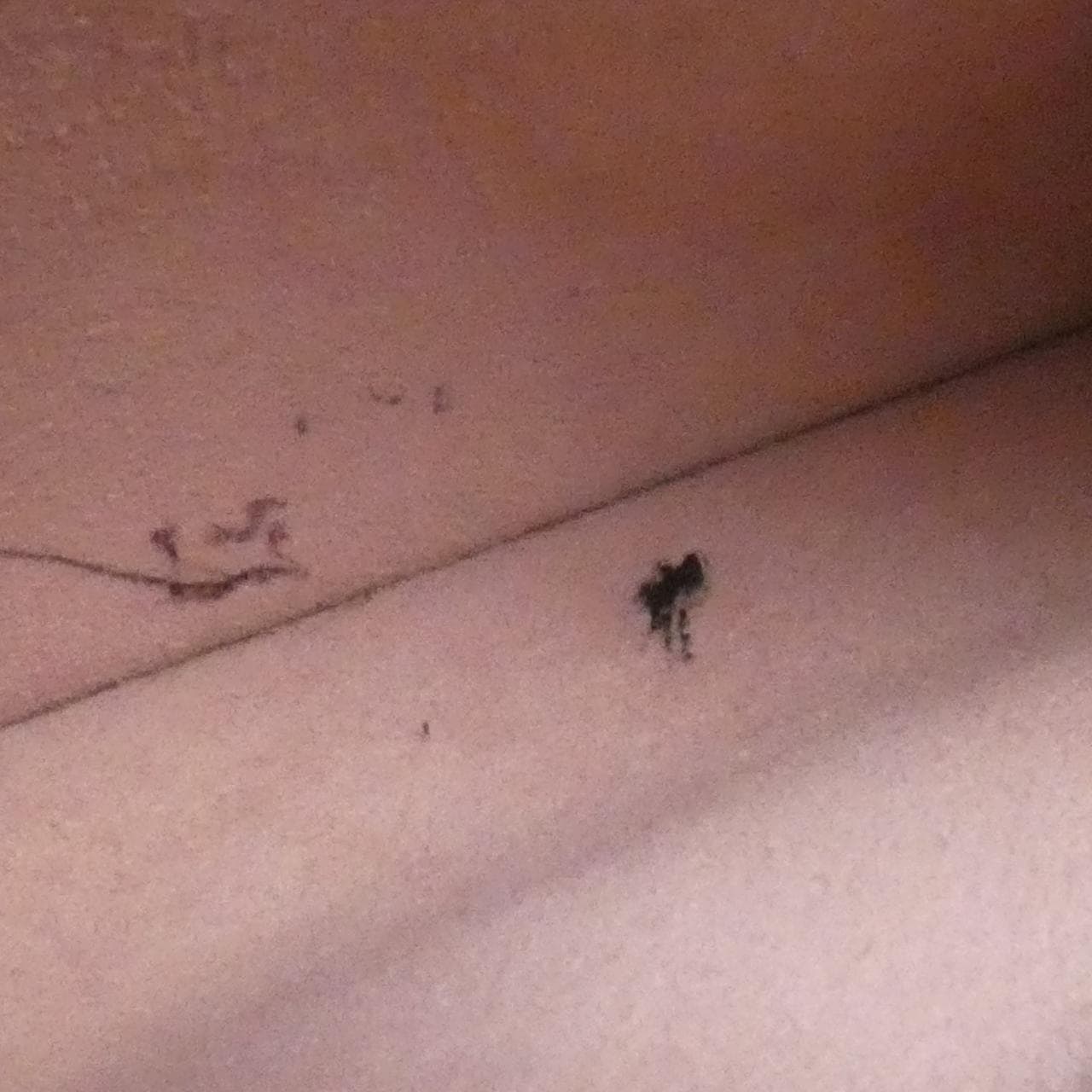 ルイヴィトン ダミエ ブリタニー N41674 バッグ