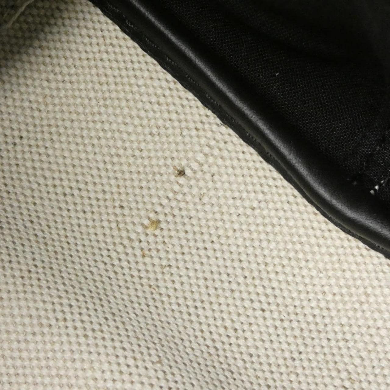 バレンシアガ ネイビー カバス S 339933 2HH3N バッグ