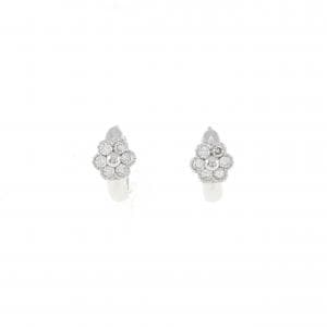 Diamond earrings/earrings