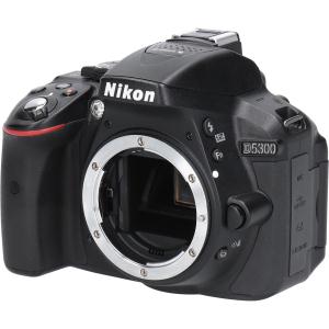 Ｄ５３００