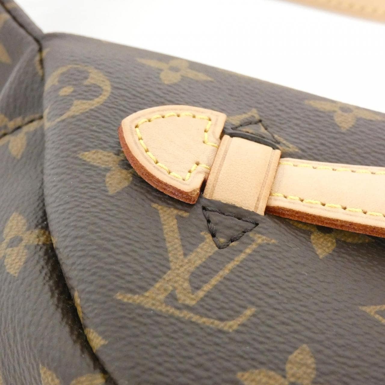 LOUIS VUITTON Monogram Bum Bag M43644 Shoulder Bag