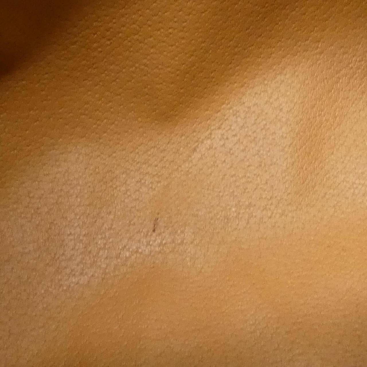 【ヴィンテージ】セリーヌ バッグ