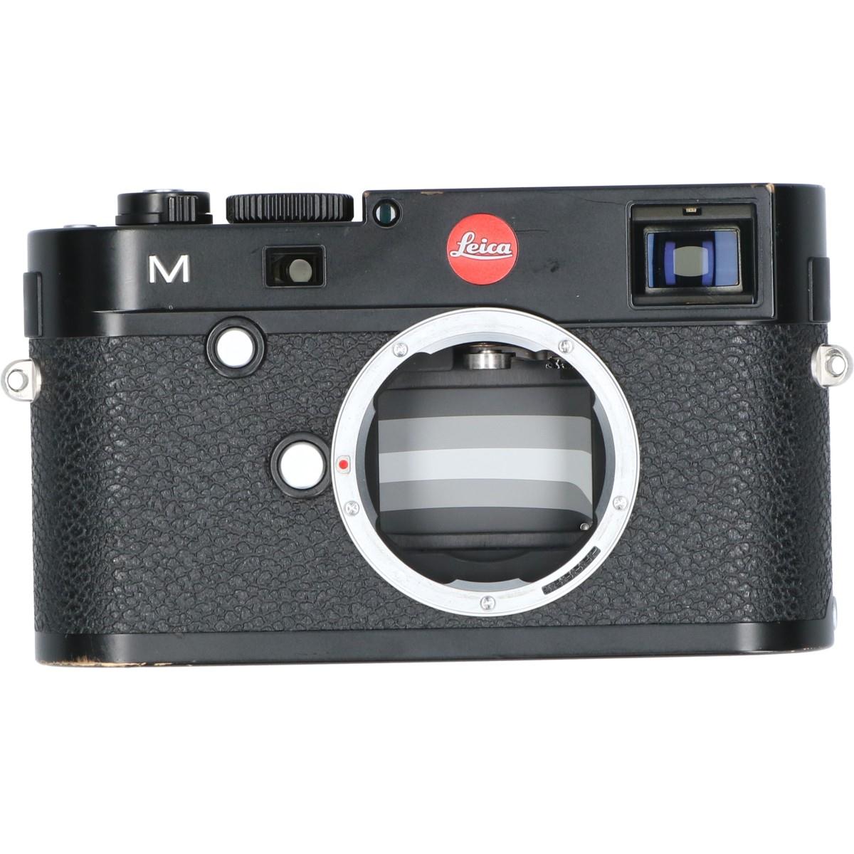 Ｍ（ＴＹＰ２４０）