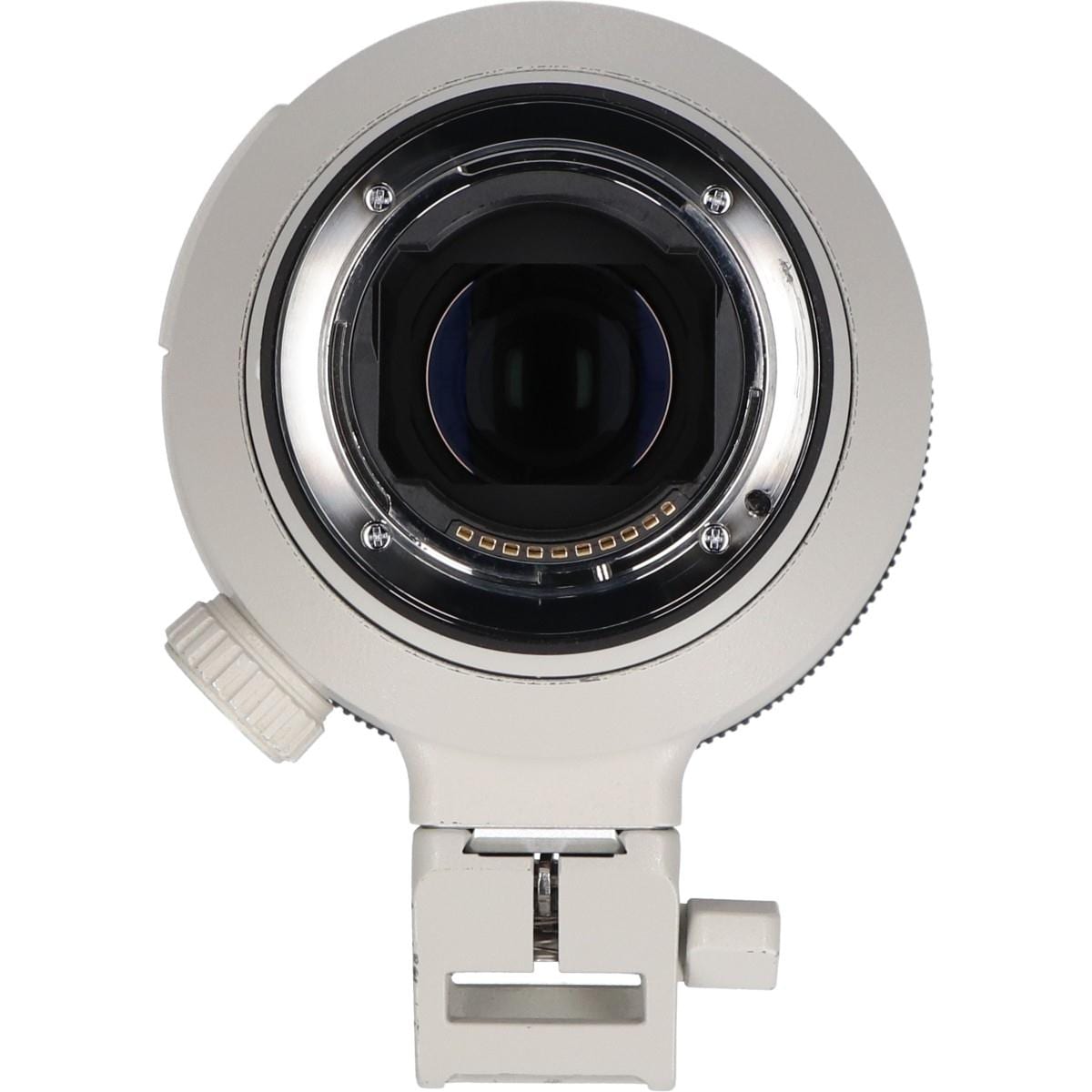 ＦＥ１００－４００ｍｍ　Ｆ４．５－５．６ＧＭ　ＯＳＳ（ＳＥＬ１００４００ＧＭ）