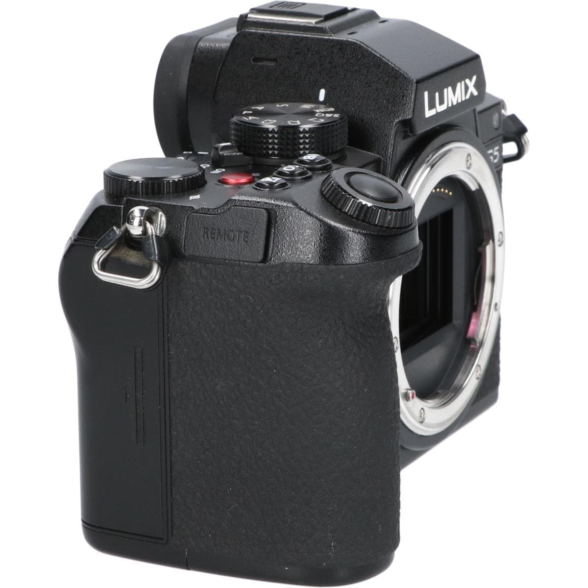 PANASONIC DC-S5