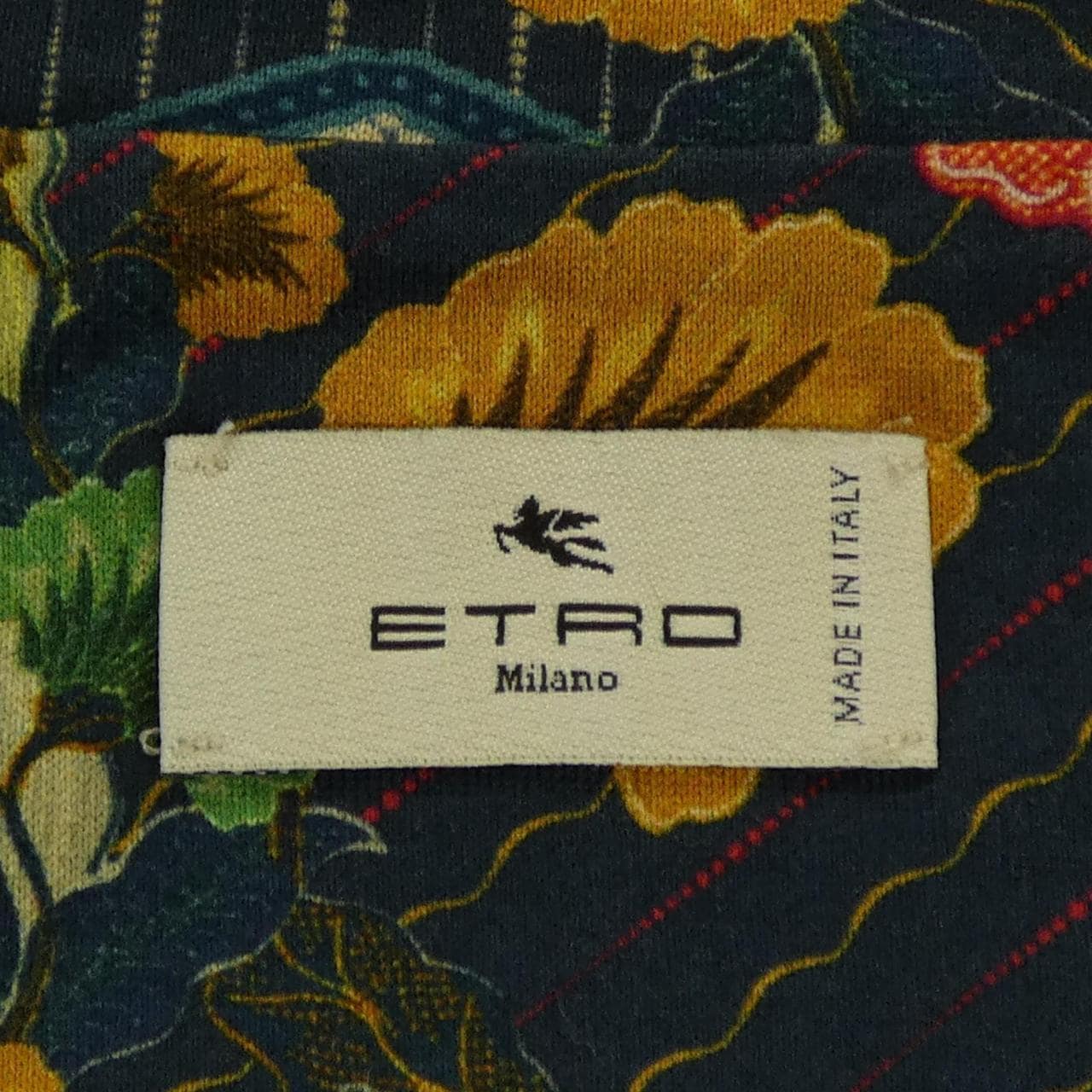 エトロ ETRO Tシャツ