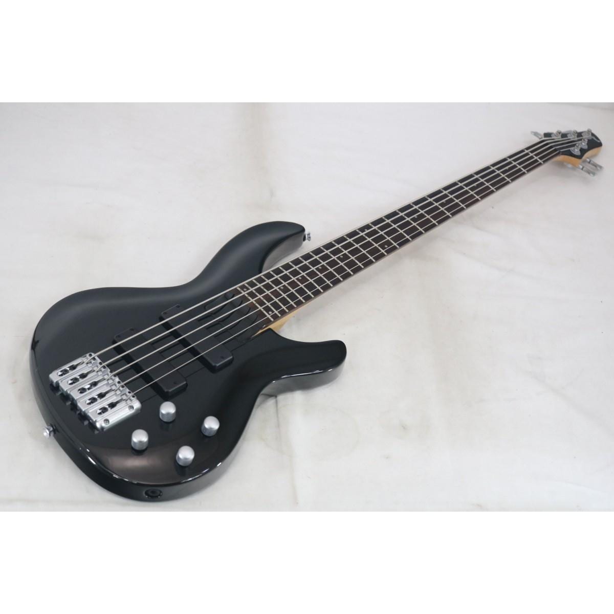 ＡＲＩＡ　ＰＲＯ　ＩＩ　　ＩＧＢ－ＳＴＤ／５Ｂ