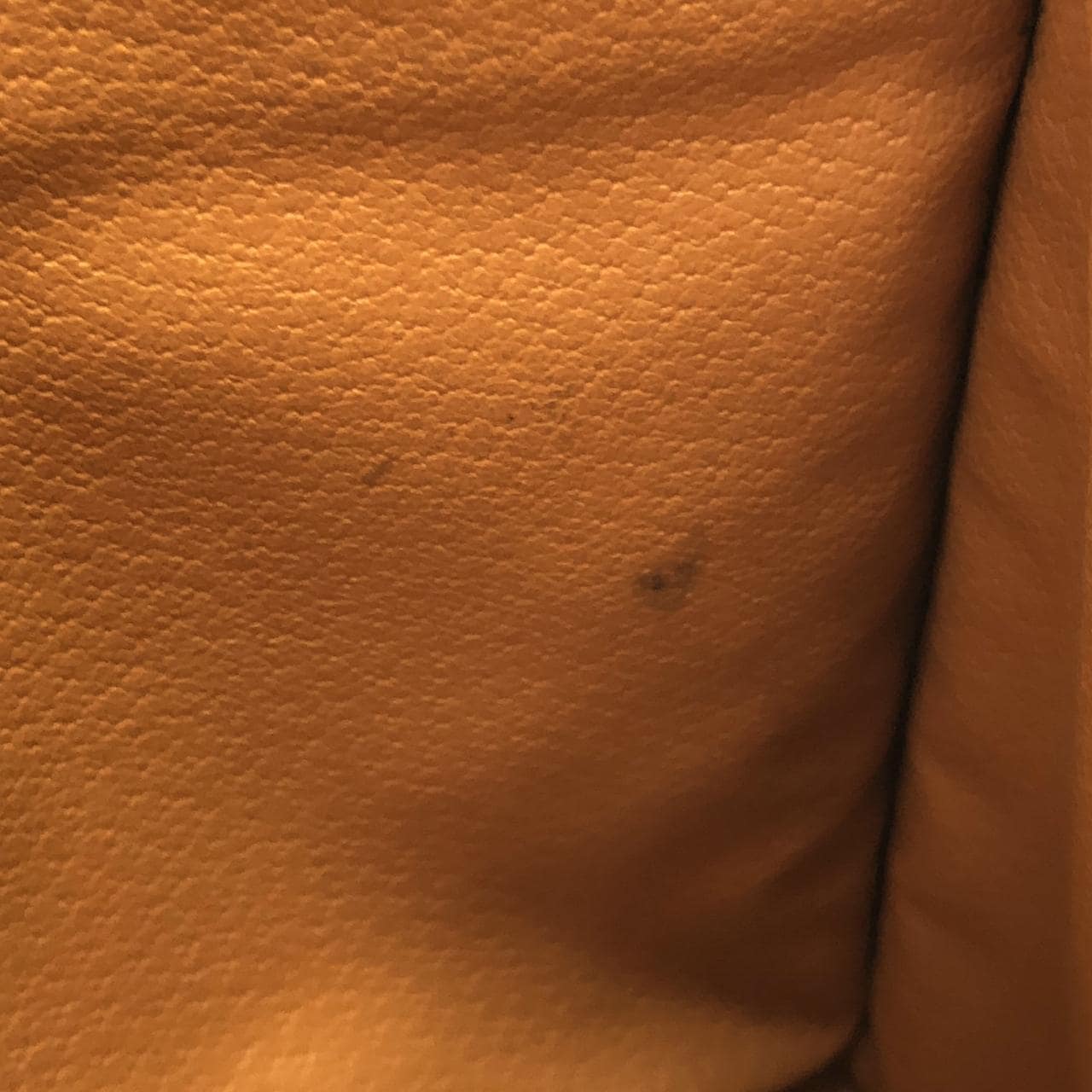 【ヴィンテージ】セリーヌ バッグ