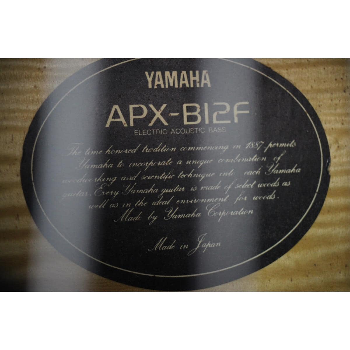 YAMAHA APX-B12F