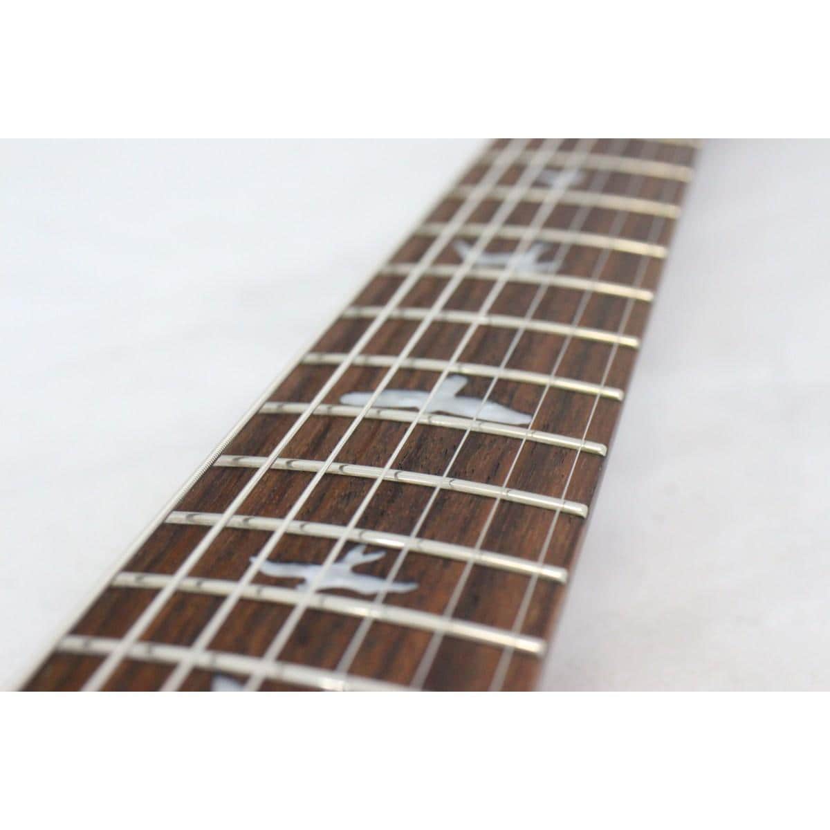 ＰＡＵＬ　ＲＥＥＤ　ＳＭＩＴＨ　ＳＥ　ＣＵＳＴＯＭ　２４　７－ＳＴＲＩＮＧ