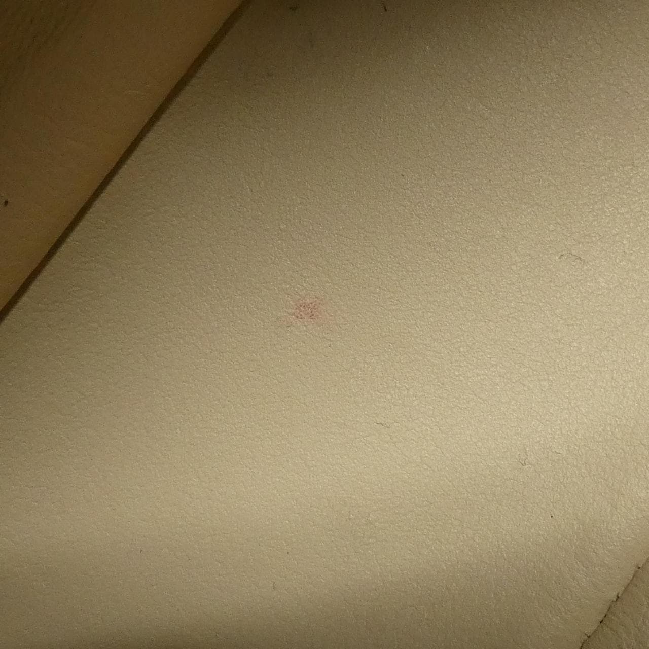 LOUIS VUITTON LV Pont Neuf Soft PM M58727 斜挎包