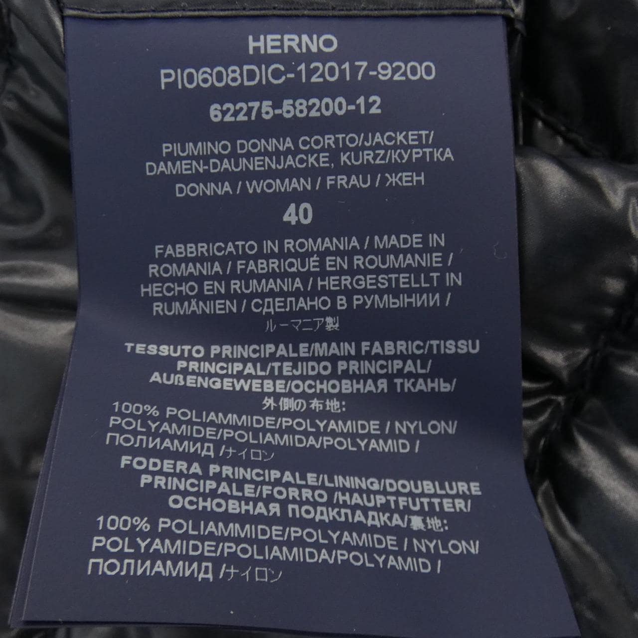 ヘルノ Herno PI0608DIC 12017 ダウンジャケット