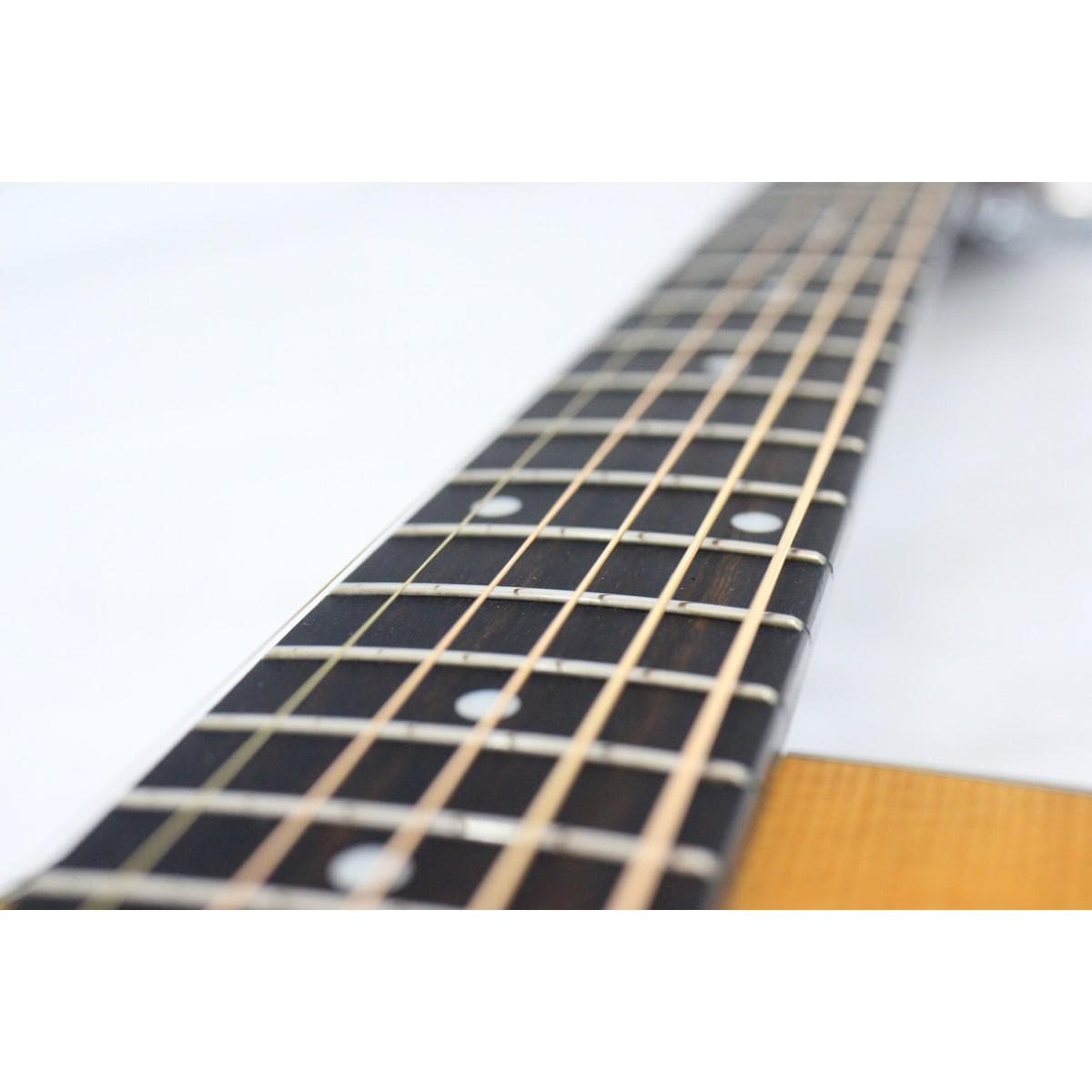 ＴＡＹＬＯＲ　　１１４ＣＥ／ＬＨ