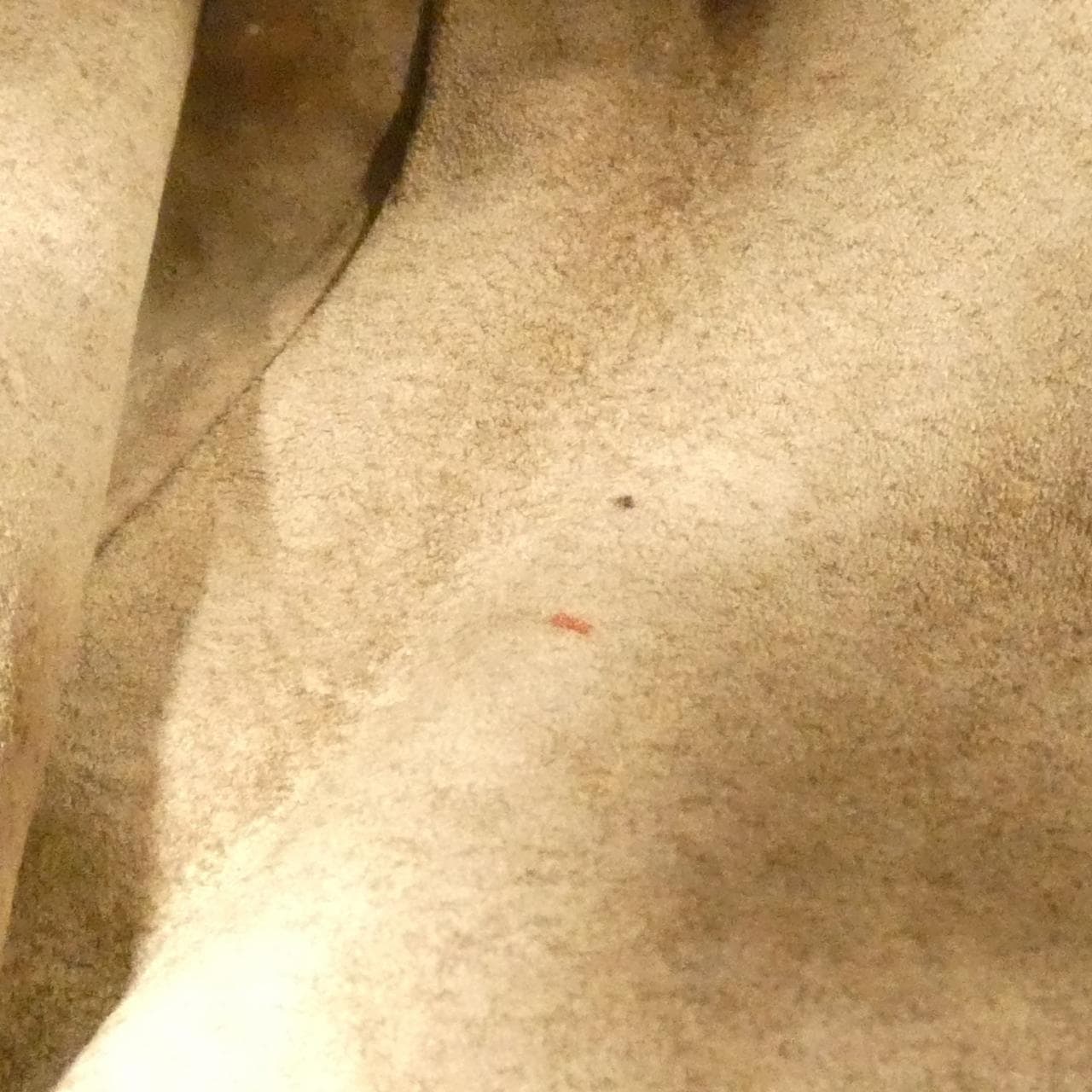 ボッテガヴェネタ 115653 V0013 バッグ