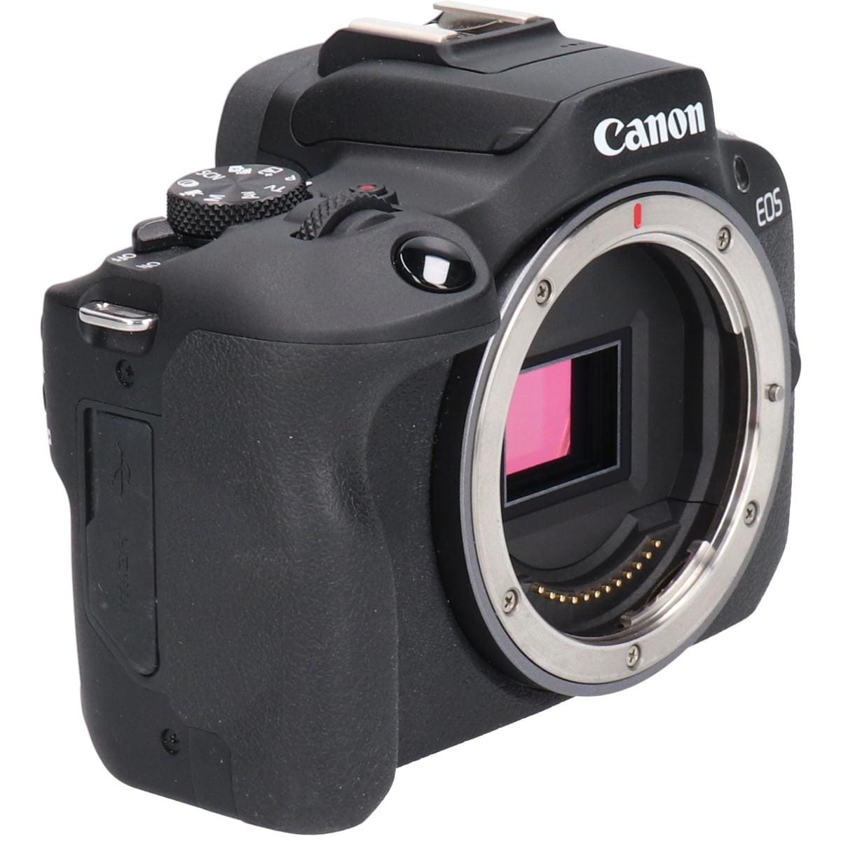 ＥＯＳ　Ｒ１００