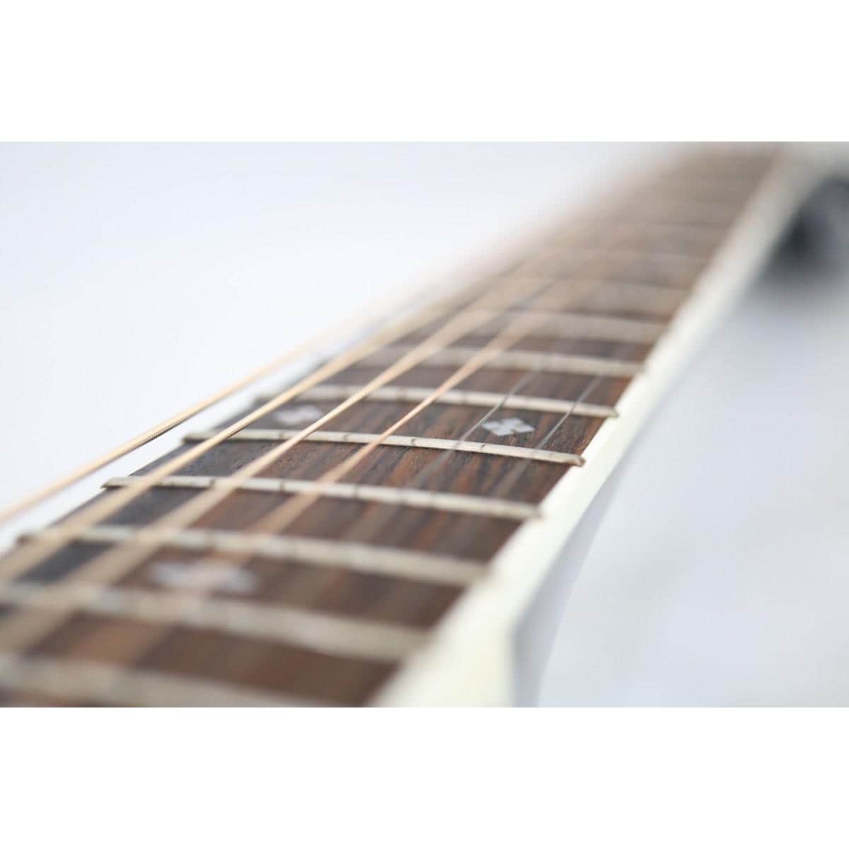 ＴＡＫＡＭＩＮＥ　ＥＦ３４１ＳＣ