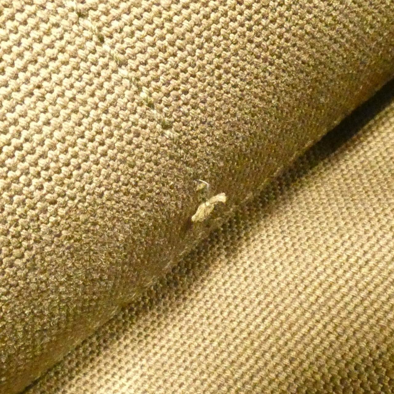 プラダ BN1872 バッグ