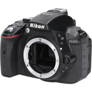 Ｄ５３００