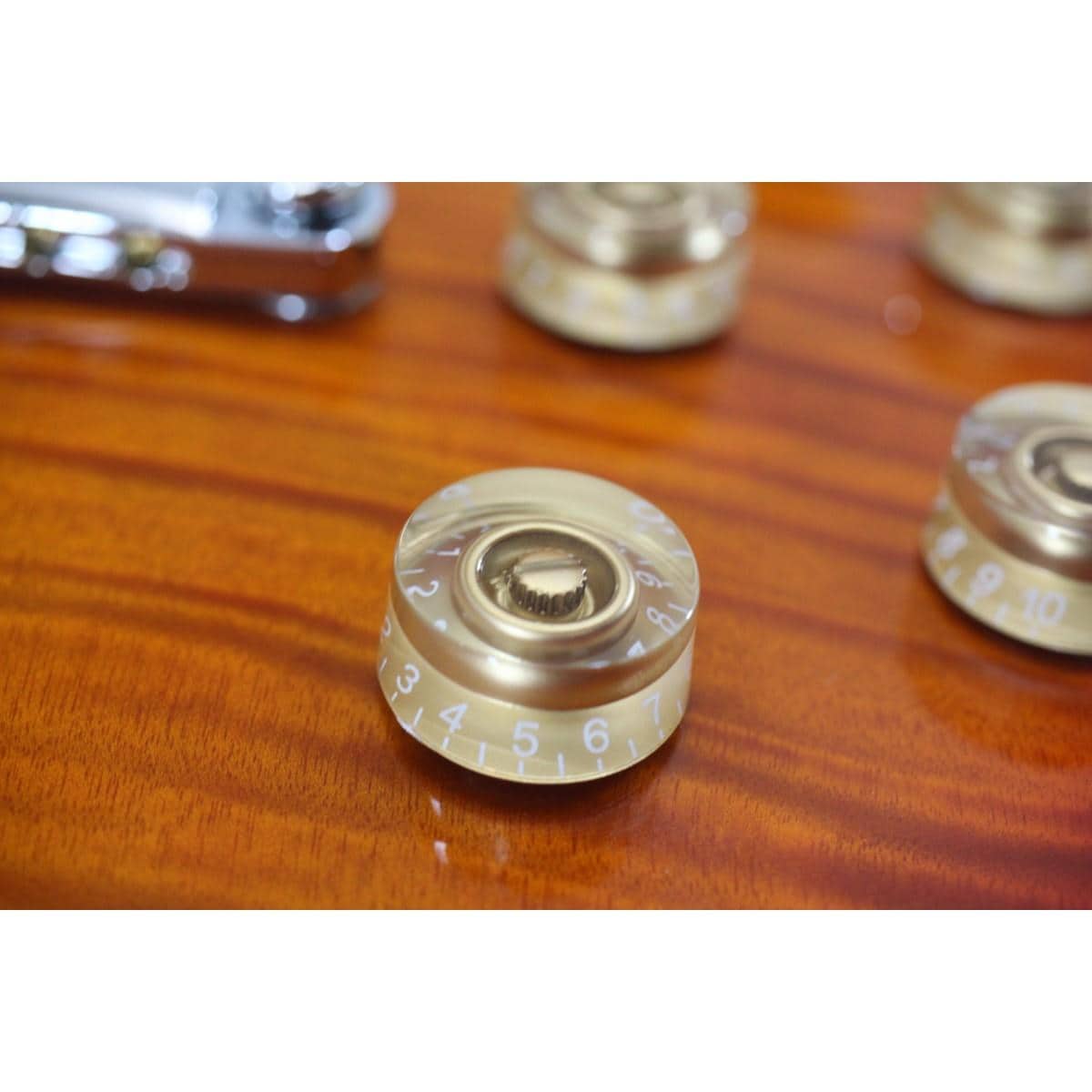 ＢＡＣＣＨＵＳ　　ＢＬＰ－ＦＭＨ／Ｒ