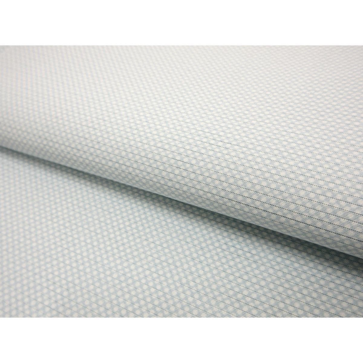 【未使用品】単衣　駒絽江戸小紋　行儀