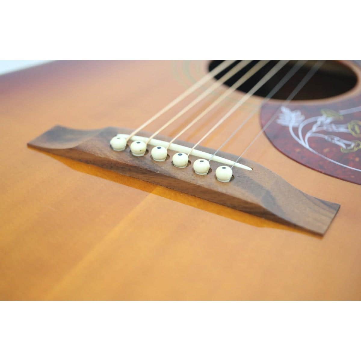 ＥＰＩＰＨＯＮＥ　ＨＵＭＭＩＮＧＢＩＲＤ