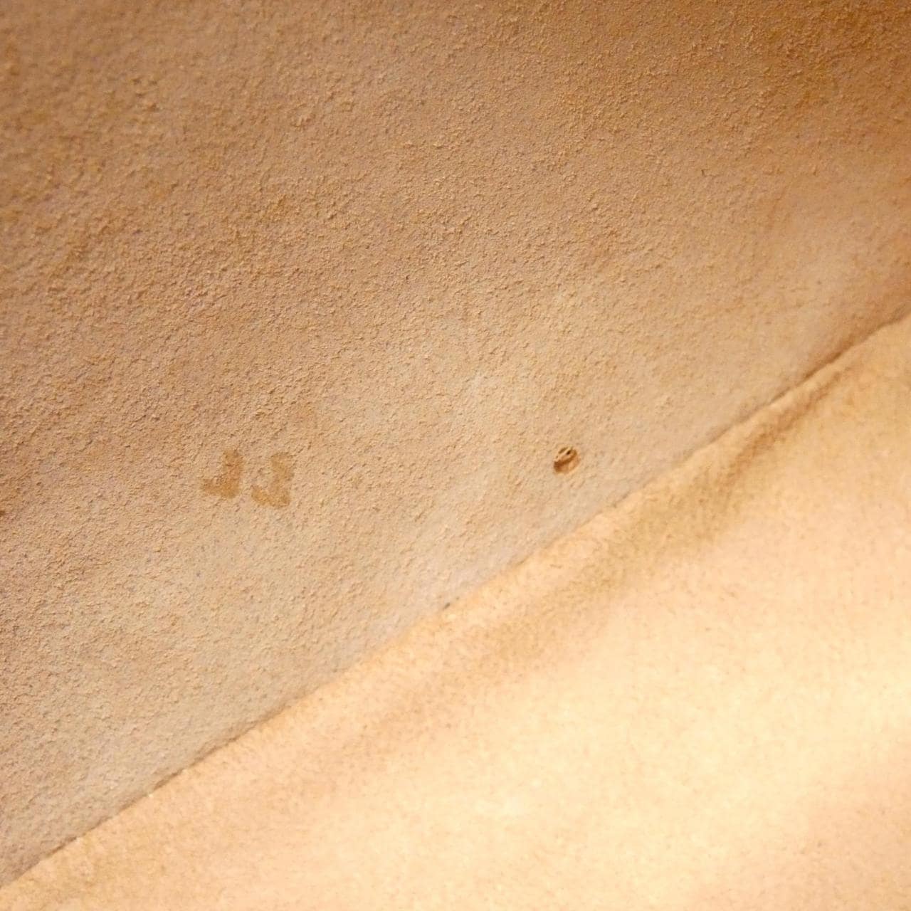 【ヴィンテージ】ロエベ バッグ