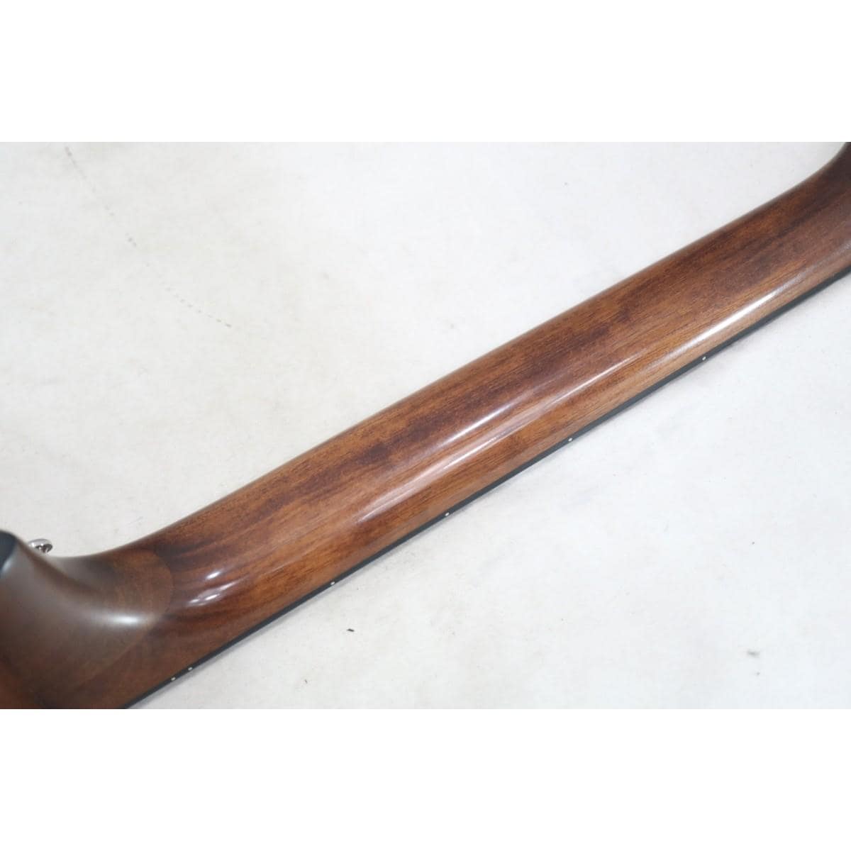 ＢＲＥＥＤＬＯＶＥ　ＰＵＲＳＵＩＴ　Ｃ３１ＣＥ