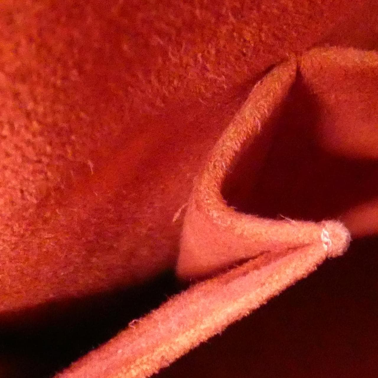 ルイヴィトン ダミエ トレヴィ PM N51997 バッグ