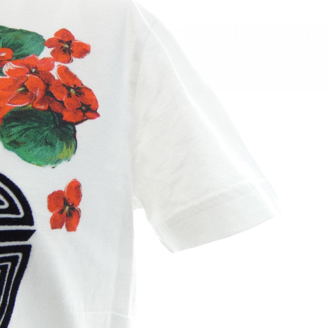 ドルチェアンドガッバーナ DOLCE&GABBANA F8H32T/G7THN Tシャツ